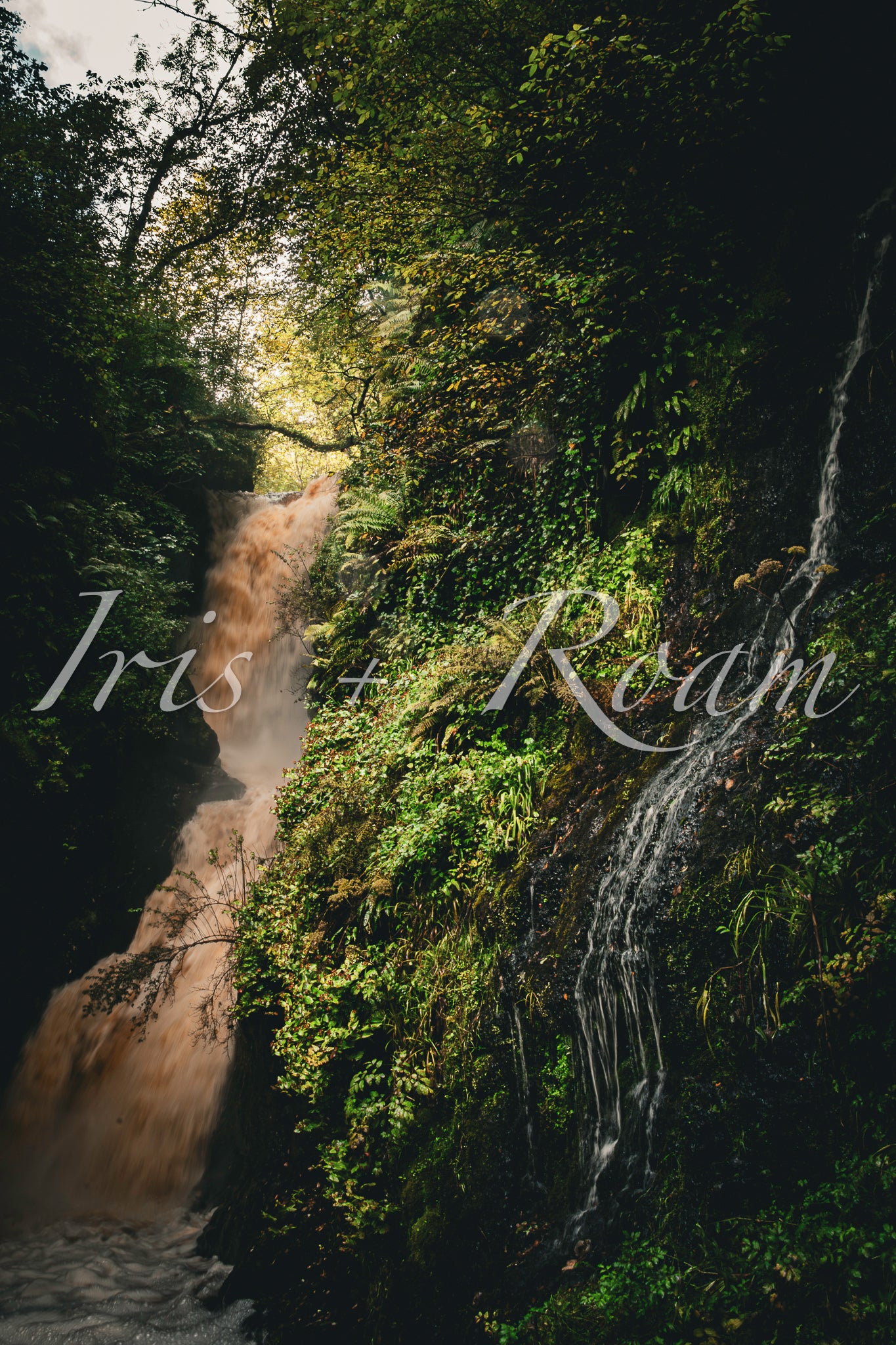Wild Waters of the North