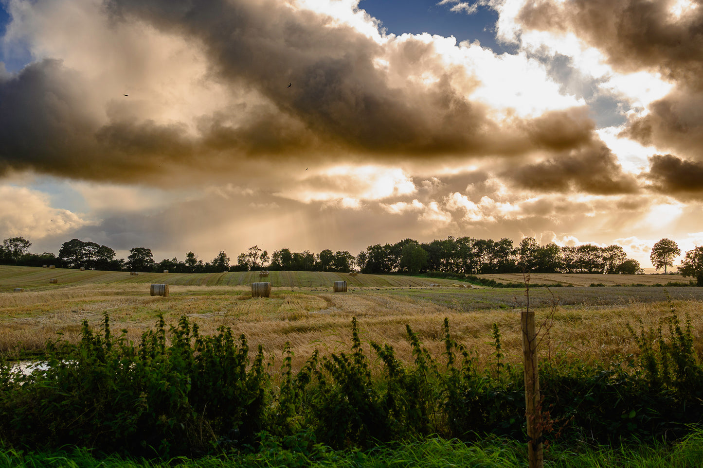 When the Light Returns