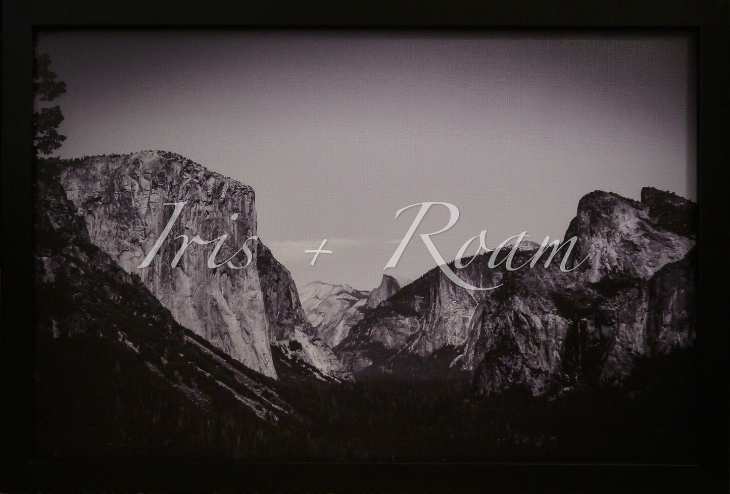 Yosemite Framed: Giants in Shadow