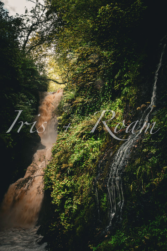 Wild Waters of the North